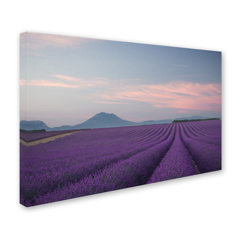 « lavande field », reproduction de photo sur toile tendue, 16 po x 24 po