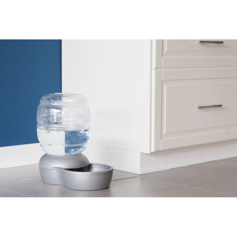 Remplacez le plat d'eau automatique, Grand (40 tasses / 320 oz liq), Gris
