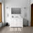 Dukes 48 in. W x 22 in. D Single Bath Vanity and 46 in. Mirror-112871761-112871764