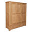 Zeus 3 Door Solid + Manufactured Wood Wardrobe
