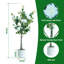 120cm Plant-130014885