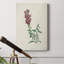 «Traditional Botanical I», impression sur toile tendue-1236080320