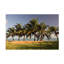 Art sur toile, bolologia Robert-104139407