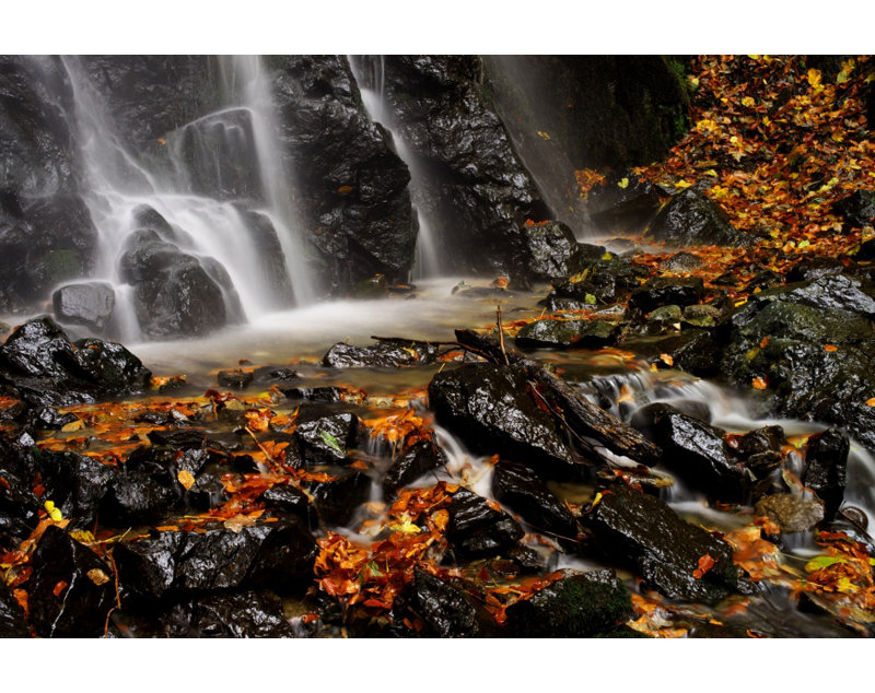 Wrapped Canvas Print, 76.2 cm H x 50.8 cm W