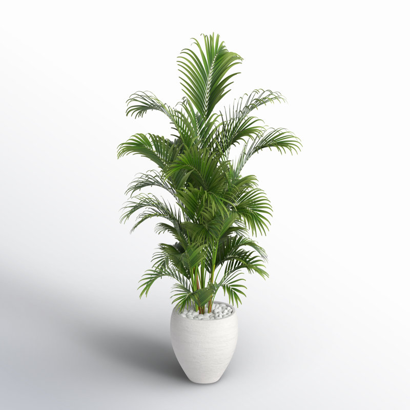 Faux Palm Tree in Ceramic Planter, 60" H x 31" W x 25" D, White