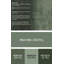 Tapis vert de style oriental-1619700357