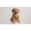 10" Golden Retriever Puppy Statue