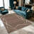 Brown Gold Geometric Line carpet-easy to clean, machine-washable, soft and comfortable; suitable for door mats, kitchens, living rooms, bedrooms, corridors, and laundry areas. Easy to clean, durable carpet for home decoration.-17258426