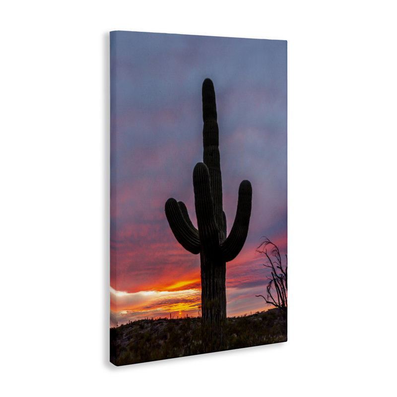 Arizona Cactus at Sunset Canvas, design by Jeff Poe Photography, 24" H x 16" W