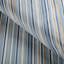 Siders Stripe-1195786677