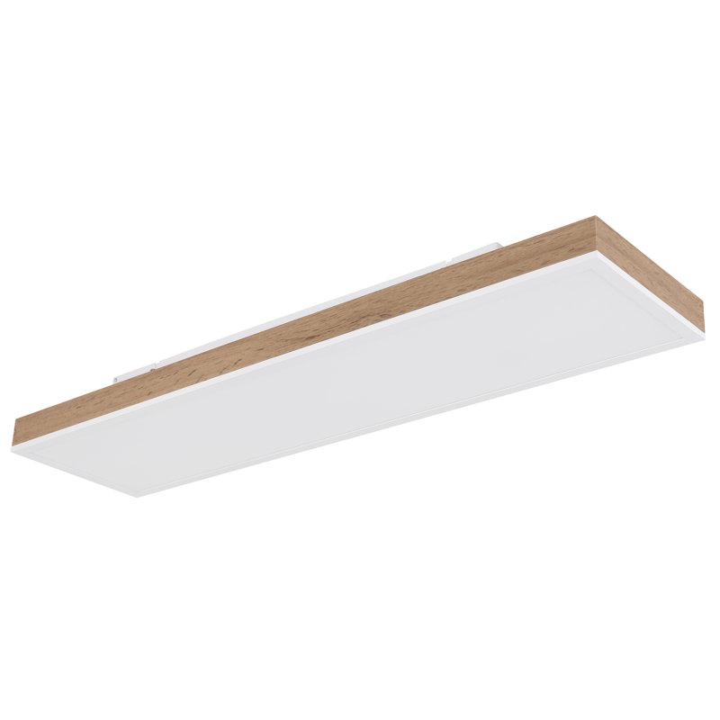 Chaquille Plastic LED Flush Mount
