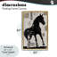 Equinity Horse Silhouette Floating Frame, design by Annabelle Hall-2134818185-2134818197