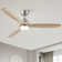 52 In. Intergrated LED Ceiling Fan Lighting with Remote Control