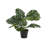 15.55'' Faux Monstera Plant in Pot