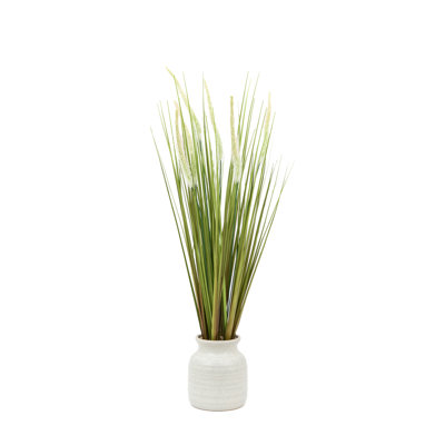 Potted Grass with Feathered Wildflower