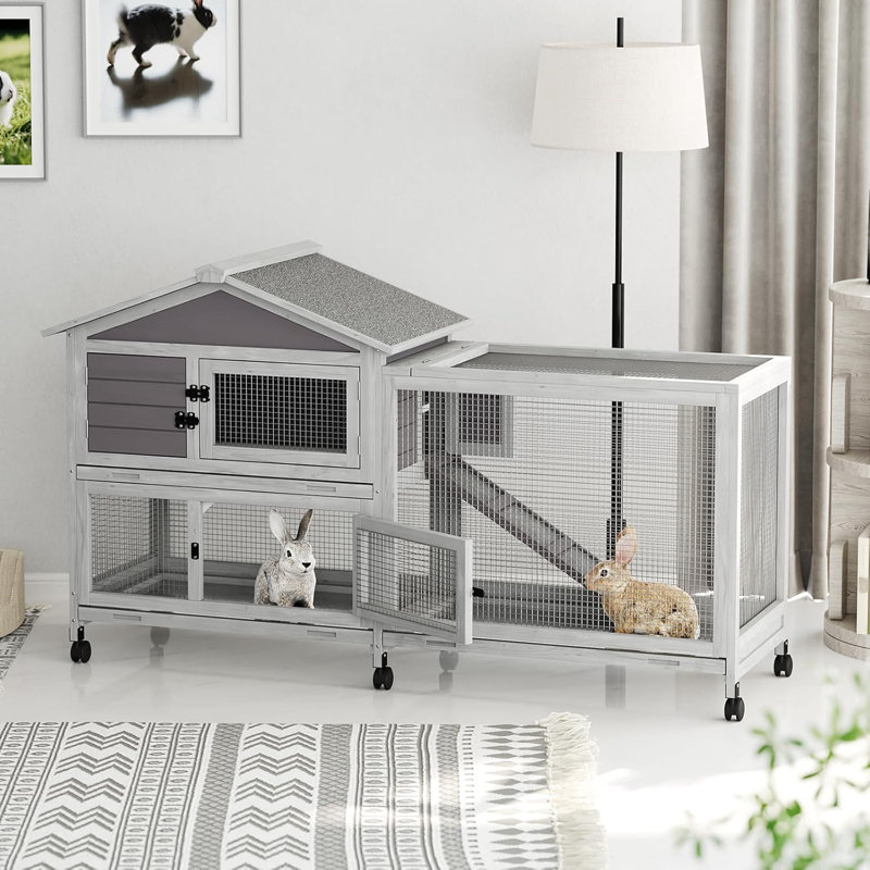 Rabbit Hutch