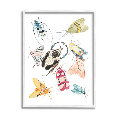 Arrangement d'insectes de jardin, charmantes créatures ailées - peinture
