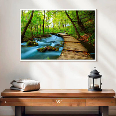 Boardwalk In The Forest
