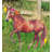 Farm Garden Stake - Horse