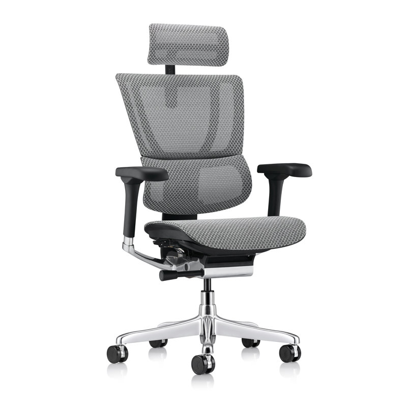 Chaise de bureau Ergohuman ME2ERG-XTREME, Gris