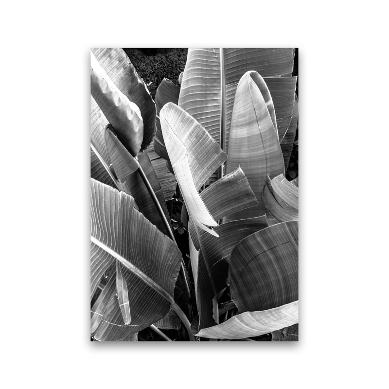 Palms Leafs by Victoria Frost - Print, Unframed, 84cm H x 60cm W x 1cm D