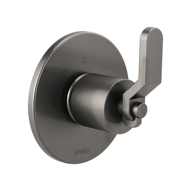 Litze® Wall Mounted Diverter Valve, Luxe Steel, Industrial Lever
