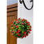 Faux Plant-1389626265-1389626270