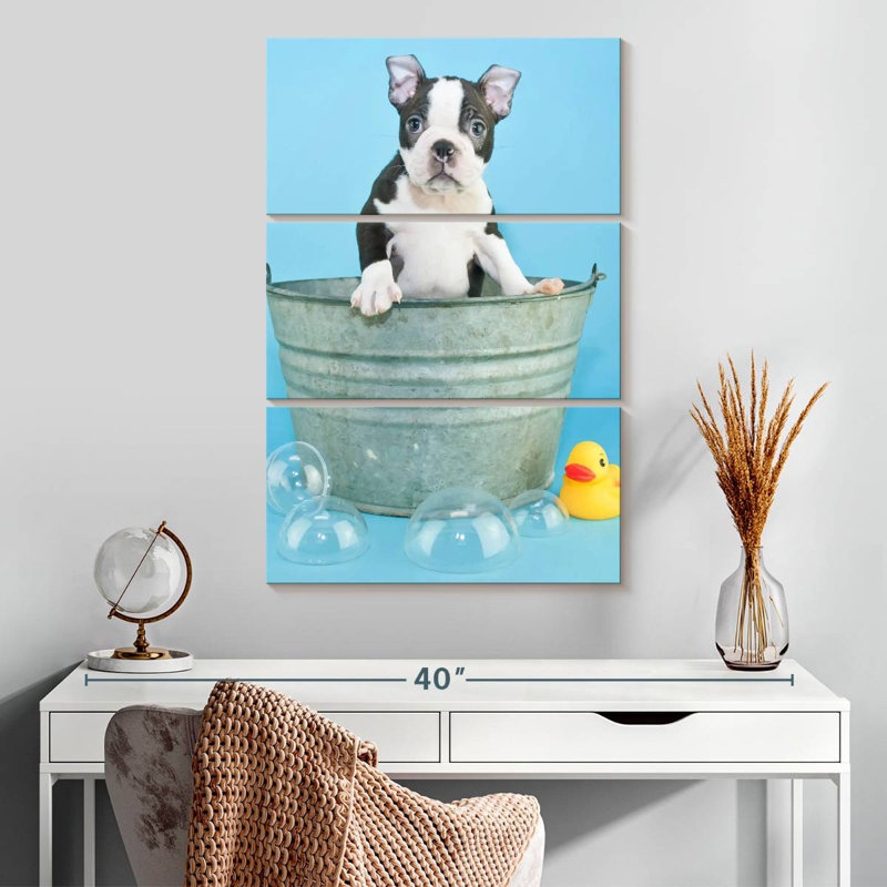 Brampt Bathing Terrier, H 32 po x l 20 po