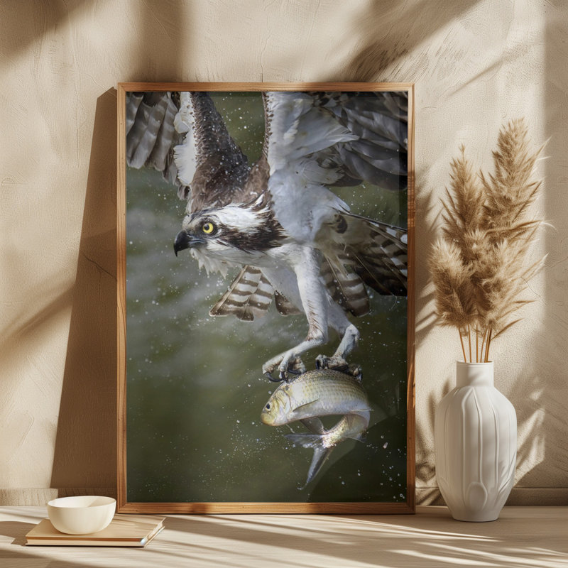 Wrapped Canvas Print, 50.8 cm H x 76.2 cm W