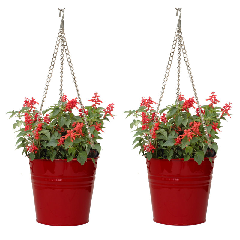 Pot à fleurs suspendu en métal Lataja, Mandarine