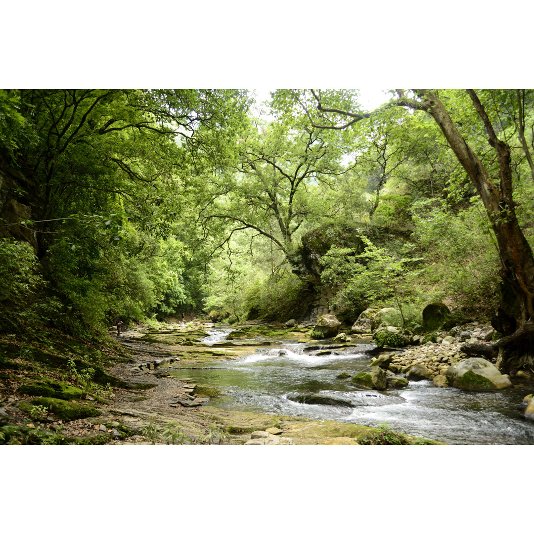 Rio Escanela, Mexiko von Ariadna - Kunstdrucke auf Leinwand