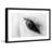 " Trusting Eye " by Marmont Hill-2140058087