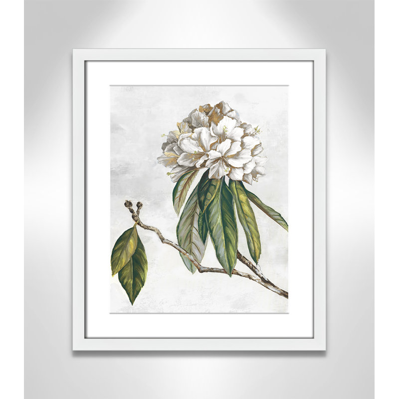 «Pearly Beauty II» par Eva Watts, Blanc satiné, L 16 po x H 19 po, Imprimé mat