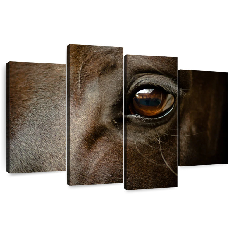 Brampt œil de cheval noir, H 48 po x l 75 po