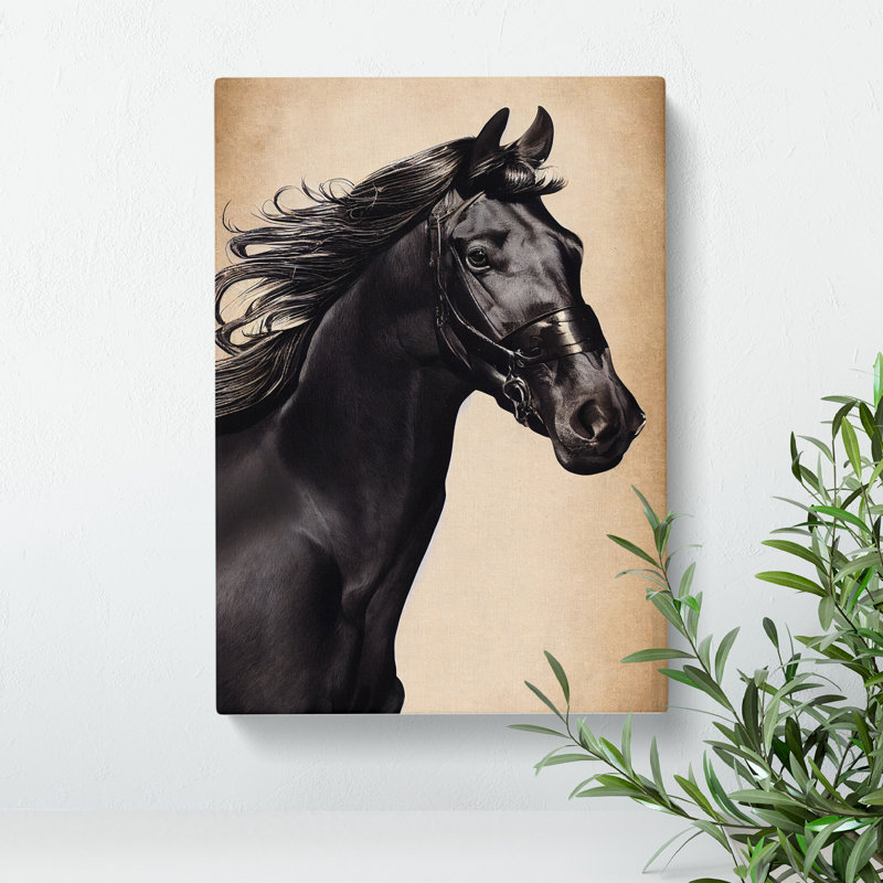 Beautiful Horse - Wrapped Canvas, 50cm H x 35cm W x 3cm D