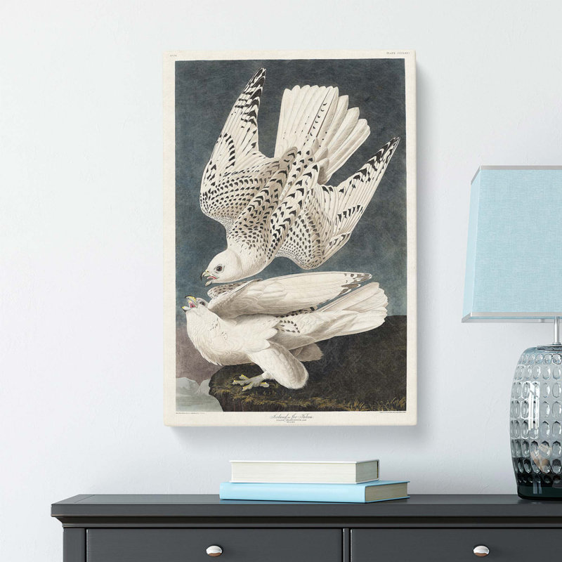 Two Gyrfalcons by John Audubon - Wrapped Canvas Painting, 76.2 cm H x 50.8 cm W