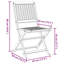Ensemble de 2 chaises d'extérieur vidaXL