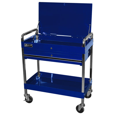 31.5 in. W Steel Bottom Rollaway Chest