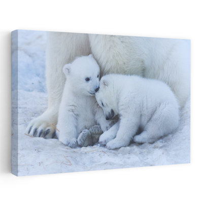 Sweet Polar Bear Cubs Peaceful Playful Tranquil Bear Nature Winter Wall Art Print