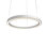 1 - Light Chandelier