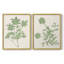 Impression encadrée Vintage Garden I-Premium - prête à être accrochée - aucun clou requis - aucun clou requis-798656357-798656379