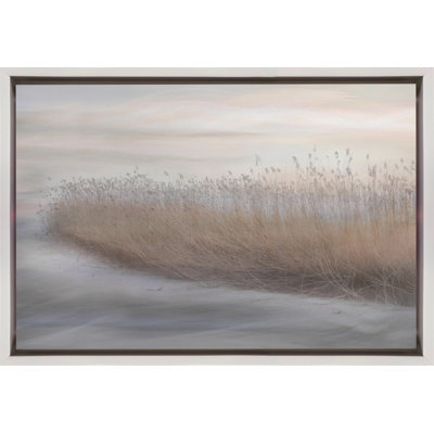 Roseau d'hiver