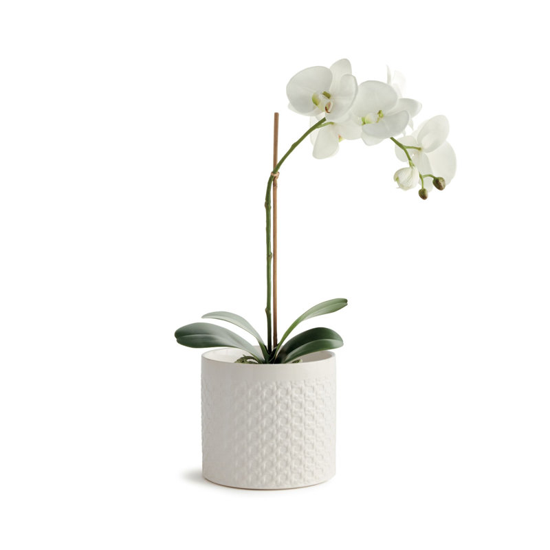 GRETA POT