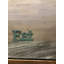 Planches murales en bois Timberchic Pine-56461482
