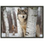 Reproduction d'art loup gris-1058081907-1058081905