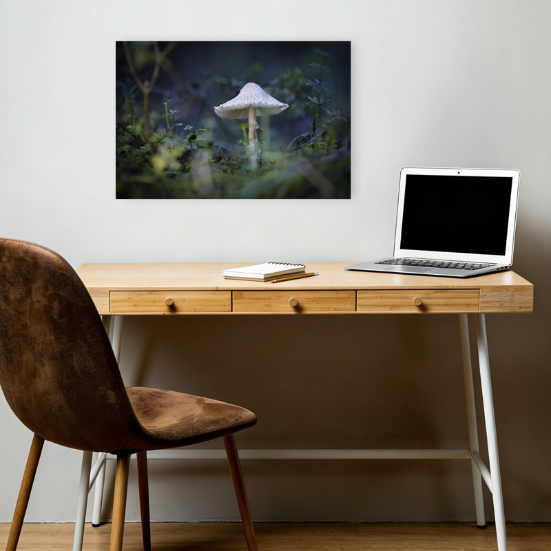 Solitary Forest Mushroom Delicate Organic Peaceful Moss Forest Nature Wall Art Print, 30.48cm H x 45.72cm W