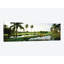 «Golf Course Palm Trees at Isla Navadad Resort in Manzanillo, Colima, Mexico», reproduction de photo sur toile-30275353-72530105