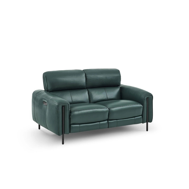 Charm 66'' Leather Reclining Loveseat, Green