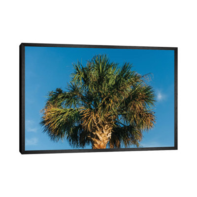 Charleston Palm Tree by Bethany Young - Print on Canvas