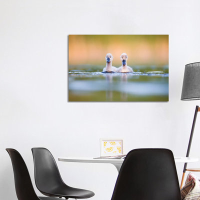 Brothers by Mateusz Piesiak - Wrapped Canvas Print